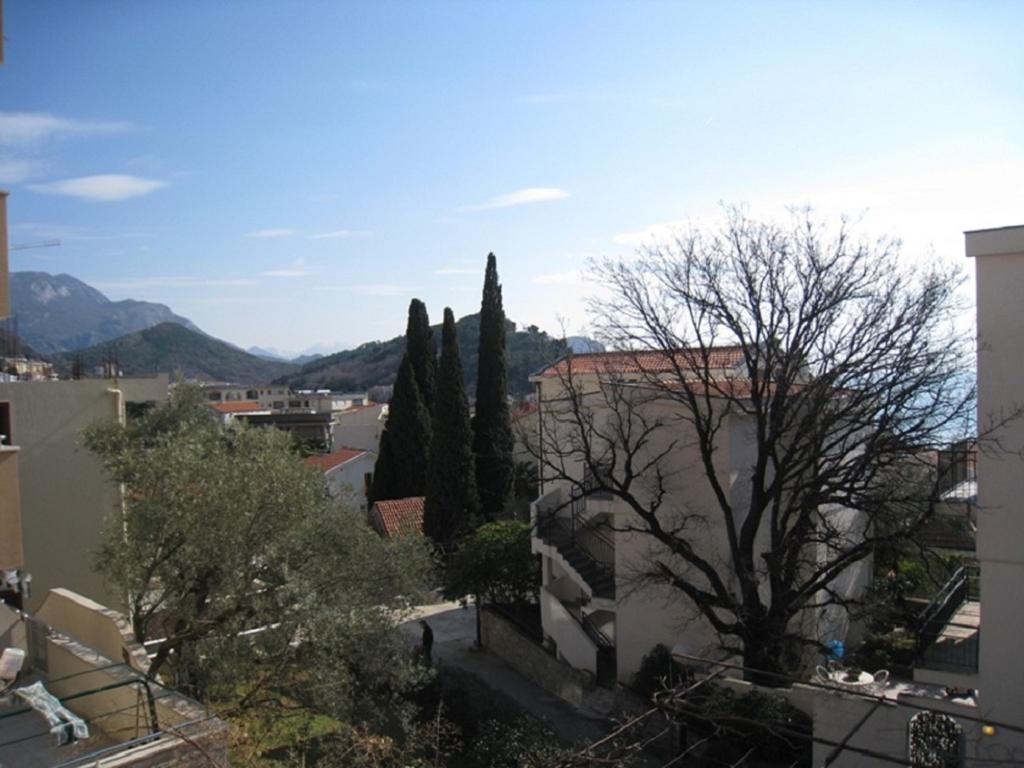 Apartment Stana Petrovac Zewnętrze zdjęcie